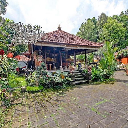 Oyo Homes 91091 Desa Wisata Umejero Munduk  Exterior photo