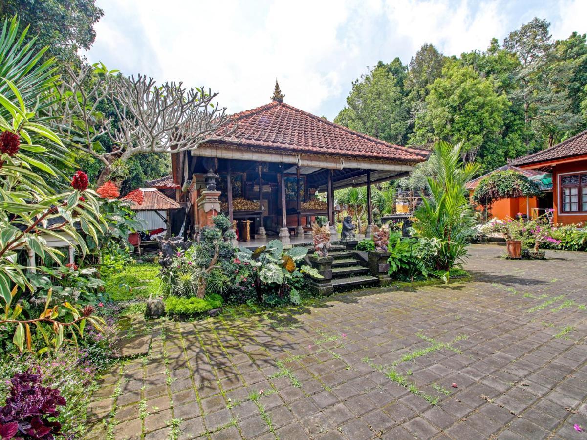 Oyo Homes 91091 Desa Wisata Umejero Munduk  Exterior photo