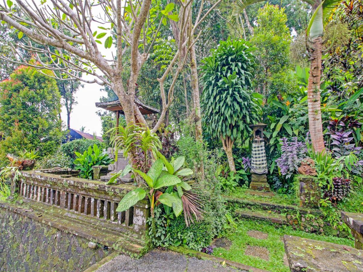 Oyo Homes 91091 Desa Wisata Umejero Munduk  Exterior photo