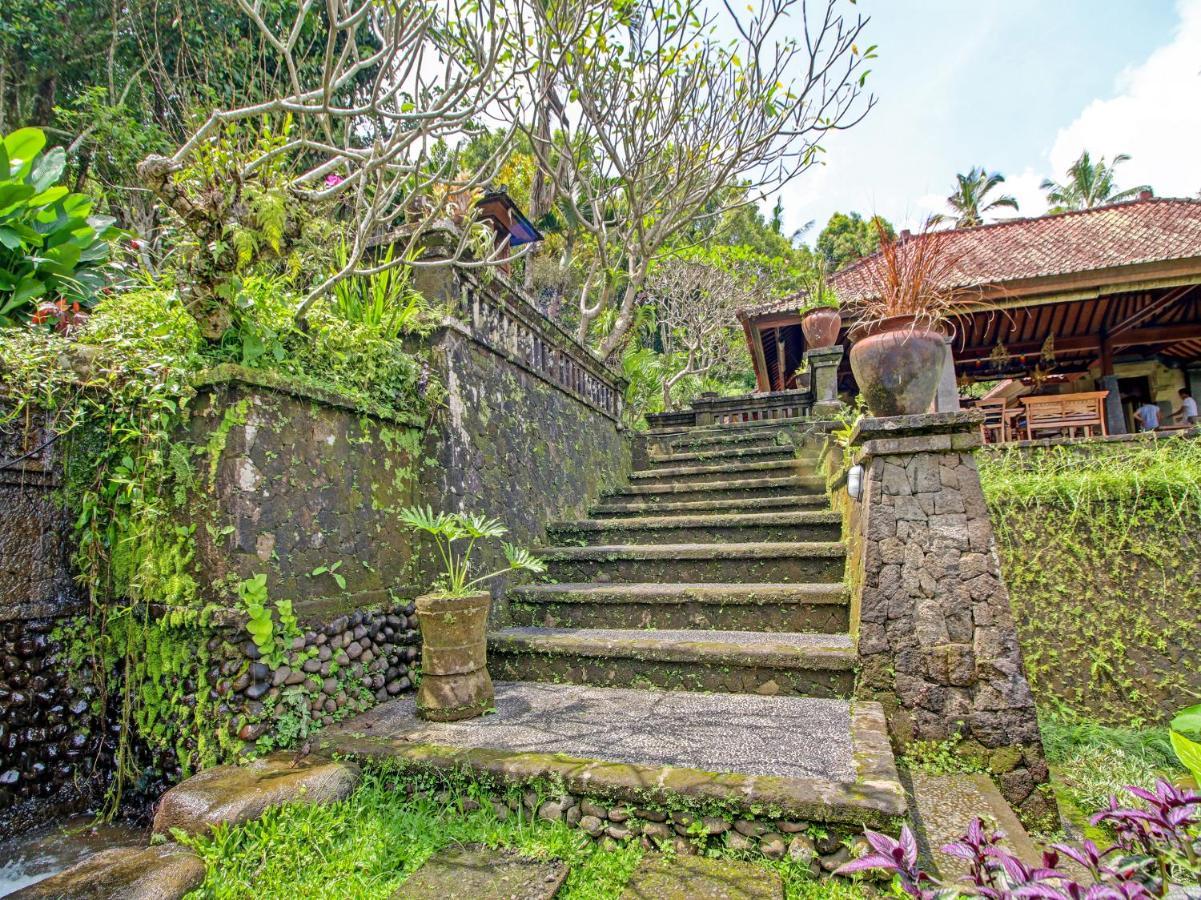 Oyo Homes 91091 Desa Wisata Umejero Munduk  Exterior photo